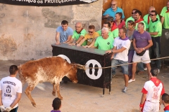 Vaquillas2013